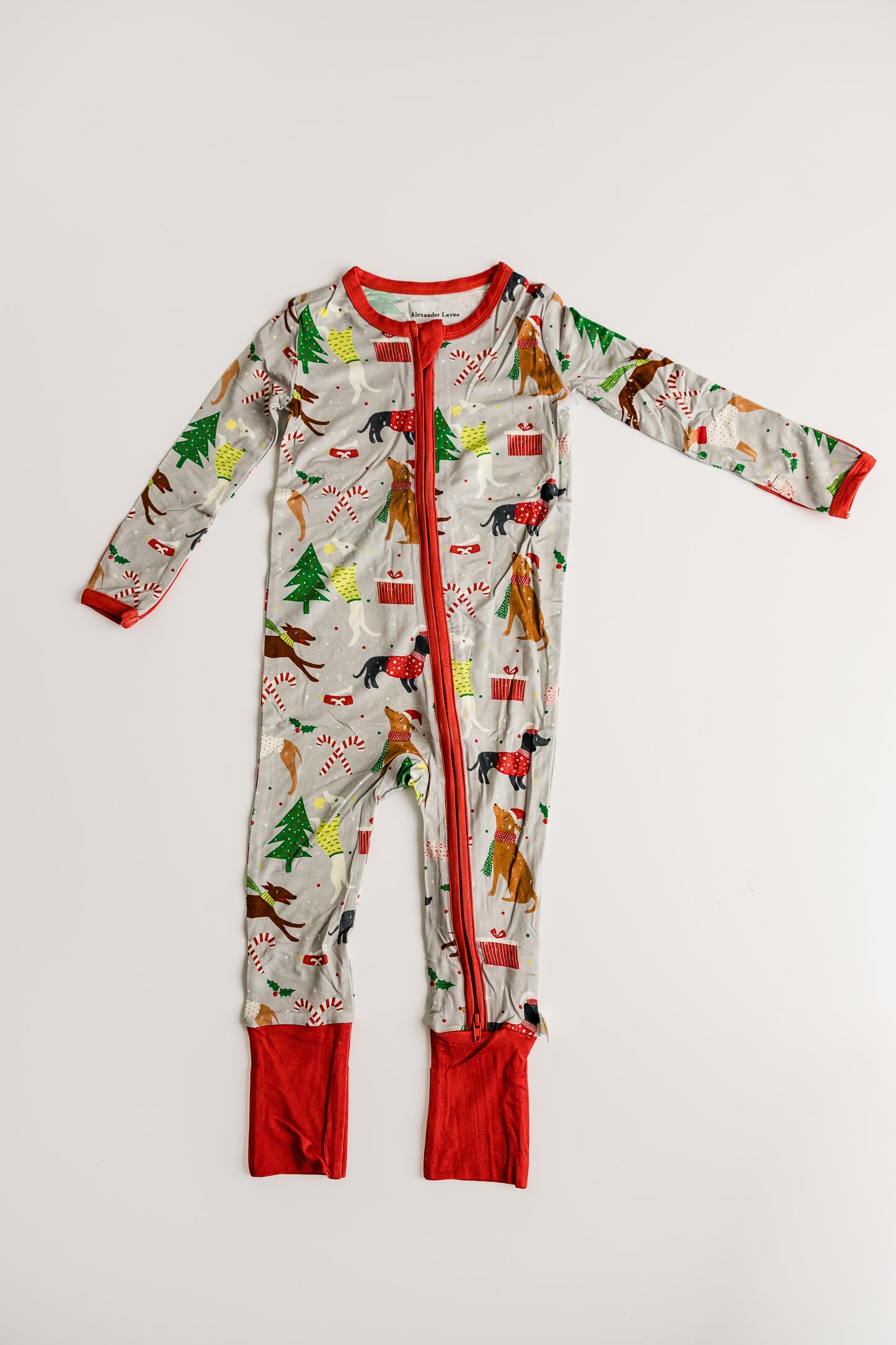 Santa's Canine Crew Zippy