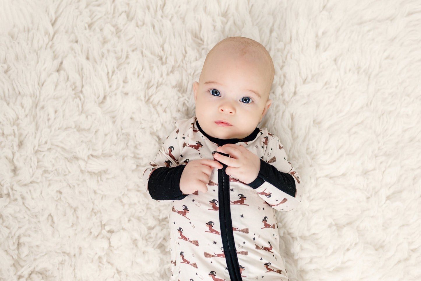 Witches of Wienerton Zippy