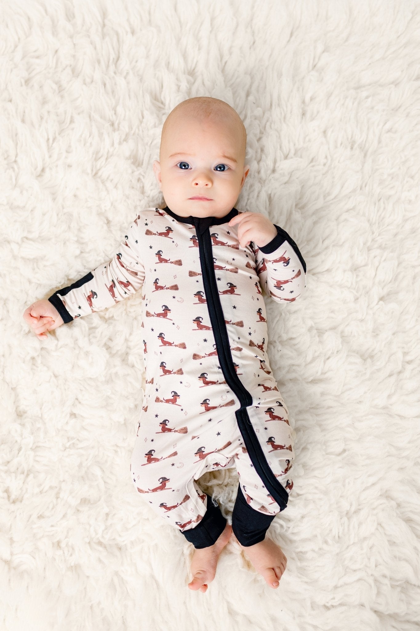 Witches of Wienerton Zippy