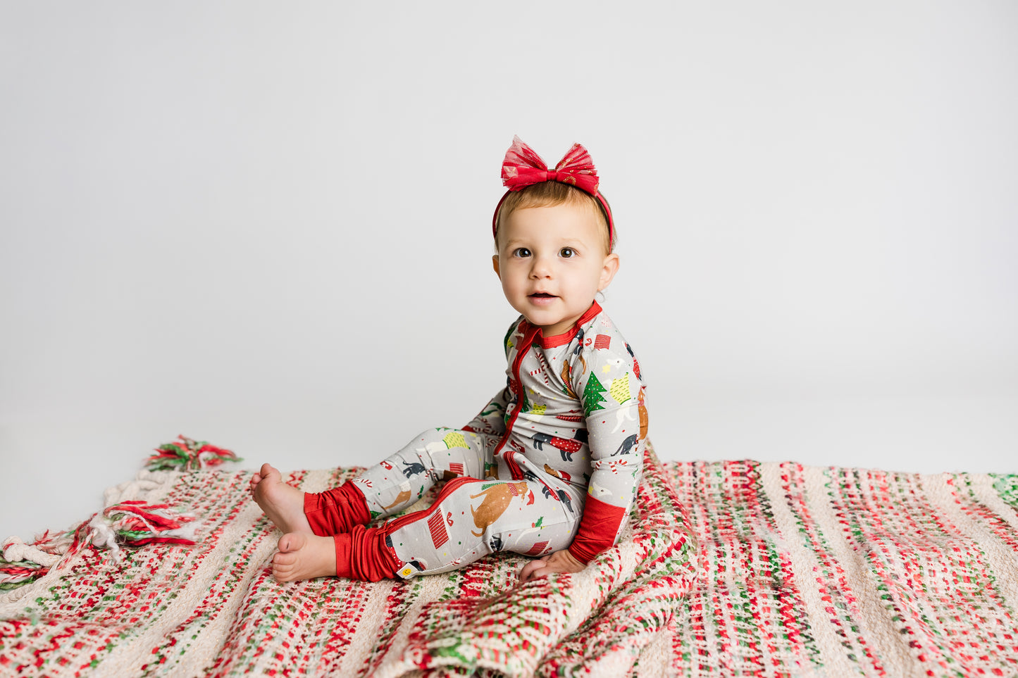 Santa's Canine Crew Zippy