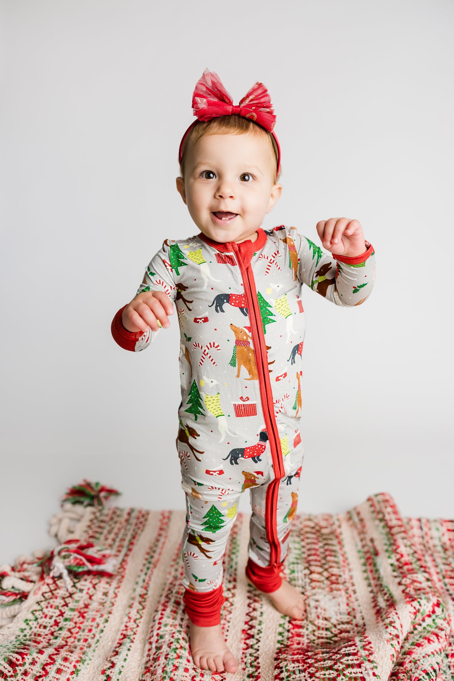 Santa's Canine Crew Zippy